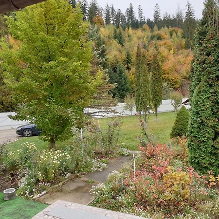 Voro Mold Hotel Gura Humorului Luaran gambar