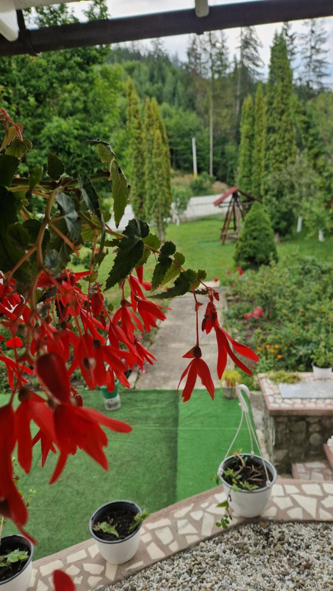 Voro Mold Hotel Gura Humorului Luaran gambar